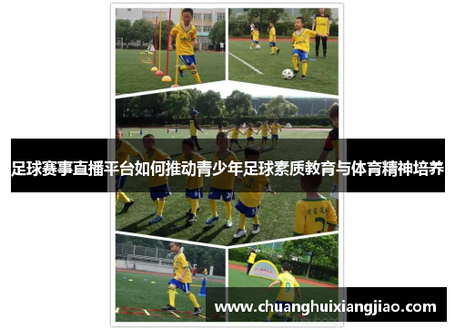 足球赛事直播平台如何推动青少年足球素质教育与体育精神培养